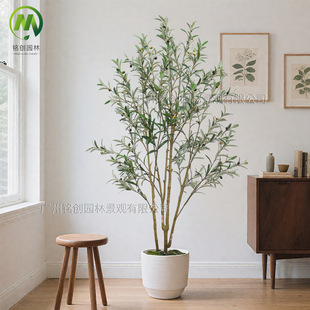 �ɲ��b�ϙ��پGֲ���� �҃ș����b����W�t���ͷ����ϙ��