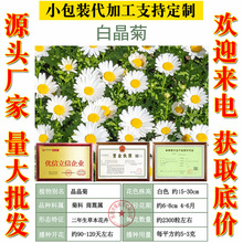 ׾շNļN_ͺСr̨ͥԺԻN