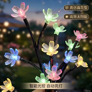 �羳̫���֦�ѻ��������ղʟ��b���ͥԺ���@�e����ƺ�����¿�