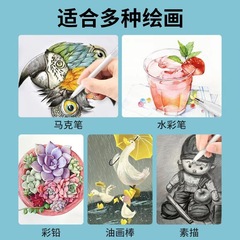 STA Spotlight Pen 7405 Brightening Screen Highlighting Pen 12-Color Set Direct Manufacturer Sales Support Dropshipping