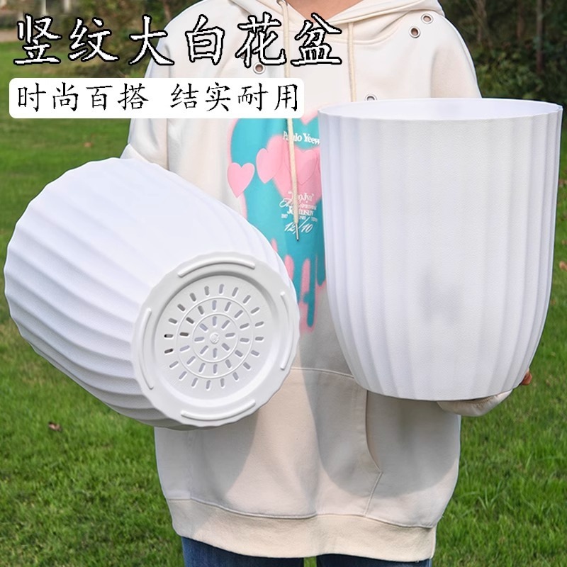 鉢植え大型家庭用シンプルなプラスチック植木鉢花瓶極楽鳥ポット屋内大口径リビングルームライト高級鉢植え|undefined