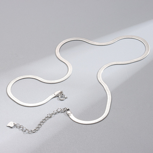 Hot selling S925 sterling silver blade chain flat snake chain European and American style fashion personality niche clavicle neck chain K gold plated ins style