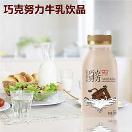 光明特惠价一只椰子250ML瓶装牛奶饮品巧克努力商用家用宴席饮料
