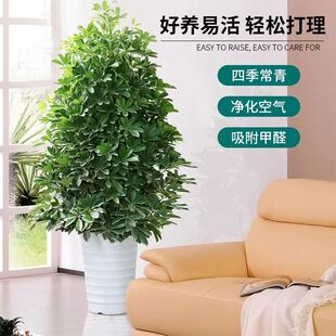 ���_ľ���Լ����˷���ؔ�ļ�����͏d�k���҃�ֲ�������辰����