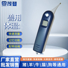 厂家批发动物体温计 手持式兽用温度计 动物测温电子肛门快速测温
