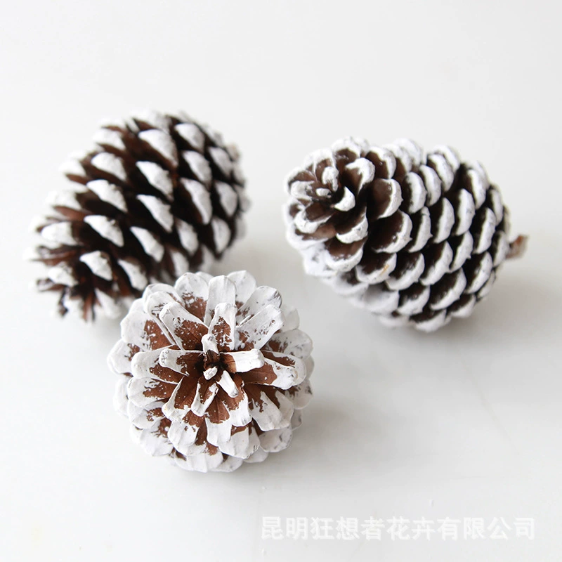 Dry Flower DIY Materials [Dry Fruit] Madman Sommelier Candle Plant Simagon Handmade Class Dry Flower Dry Branches Material