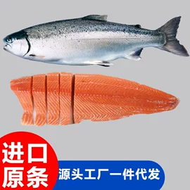 海参;鱼类;贝类