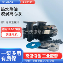 ���P䓸ߜ�ˮ��RGZ-40E��ˮ����ѭ�h��750W偠t����ˮ������ʽ��