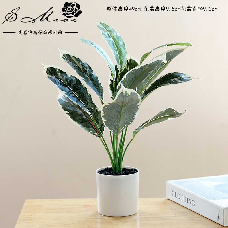 Fluorescente verde 830910 plantas verdes en maceta ☆