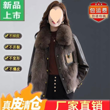 2025���¿�ëƤ���׶���Ƥ��Ů�d��q�����p���