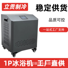 跨境运动员理疗冰浴冷水机触屏遥控智能控温1P小型家用泡澡冰浴机