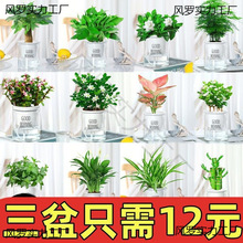 �҃Ȼ����k���ҾGֲ����ˮ����B�k�����͏dС�����_���G�}�lؔ��