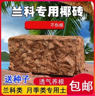 �m���¼��I�B��Ҭ���u��Ҭ�������mʯ��ֲ�ϴ�Ҭ�K�ЙCÓ�}Ҭ�u