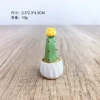 Small fleshy potted plant (golden finger)