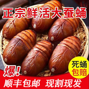 ��S���]�|���a���QӼ���r���Ӽ����S�QӼ�|�����OӼ�sӼ500g