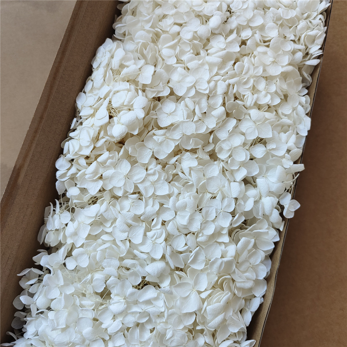 Flor eterna Hortensia Anna pequeña hoja flor seca flor real árbol de Navidad ventilador hecho a mano ramo DIY material paquete flor