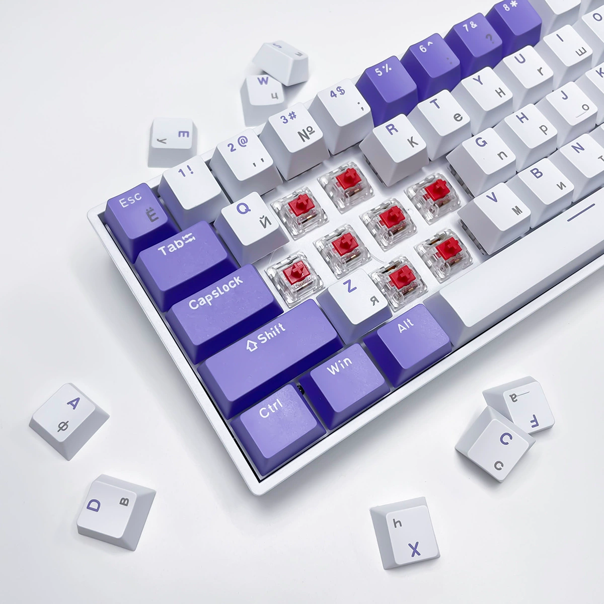 Русский Русский Blueberry тема H61 ключ синий вал проводной беспроводной мини -горячая вставка -в механическая клавиатура