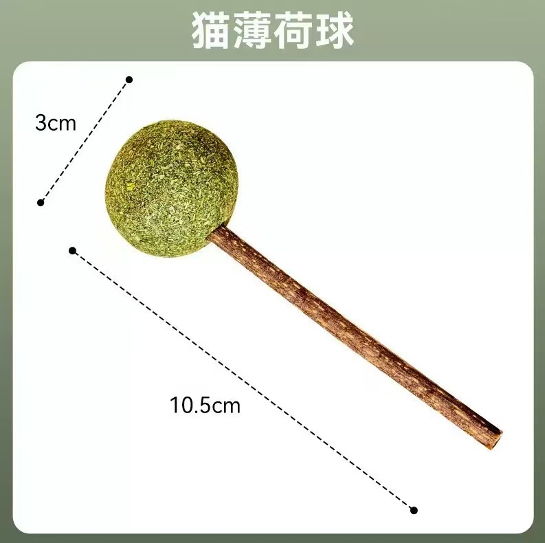 캣닢 롤리팝