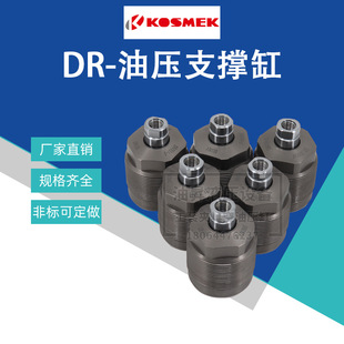 ������֧�θ�DR022/024/030/036/045/55/065���г�֧�θ�DR0551-S