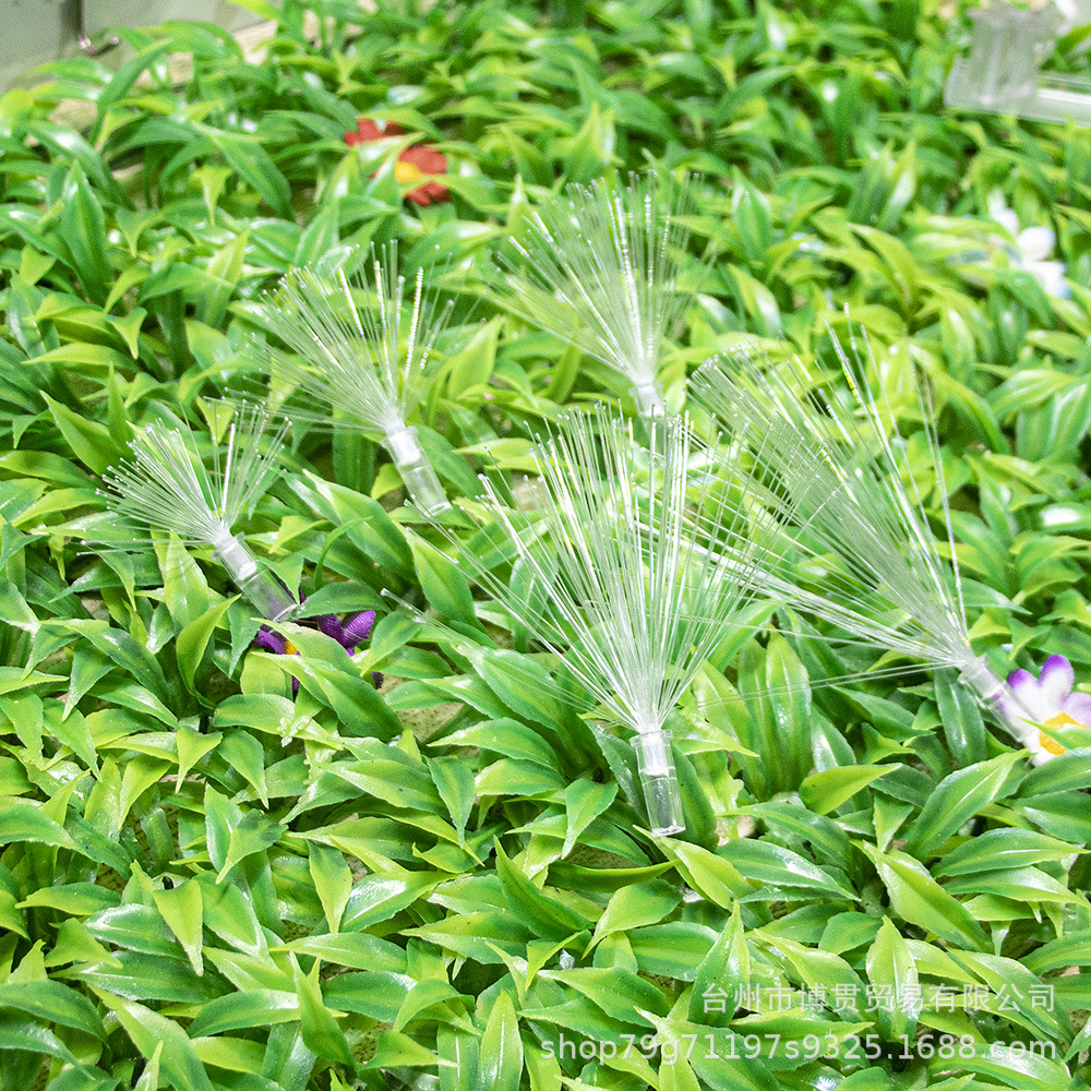 散开光纤 (2).jpg