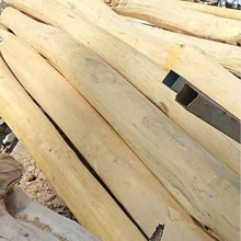 �ֻ�ľԭľ�̻�ȥƤ���С��ľ�������Θ����ľ�匍ľ�����ľ