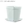 Small colorful plastic flowerpot flower-shaped, wholesale