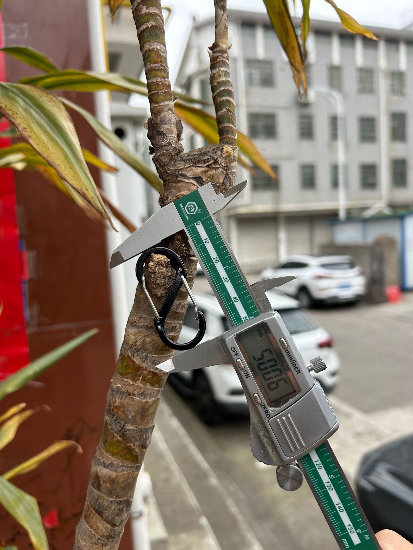 b5533d7bc7ebb0c17433f5854a2f3b