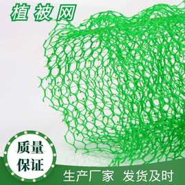 三维植被网 三维土工网垫 三维网 加筋绿化植草护坡固土厂家