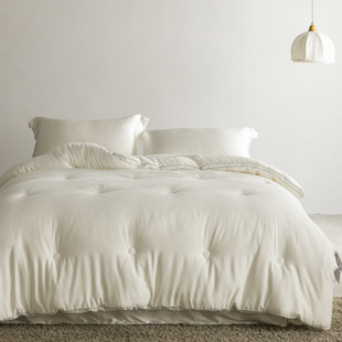 U cotton jacquard Australian wool quilt class A 60 winter quilt core thickened warm spring and autumn quilt air conditioning quilt mattress