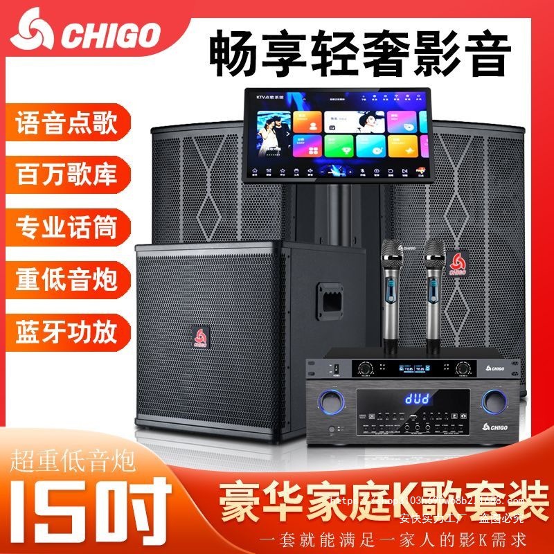Chigo Professional 12inch Home Set Karaoke Machine Ktv Karaoke Luxury Home Professional Performance Audio Complete Set