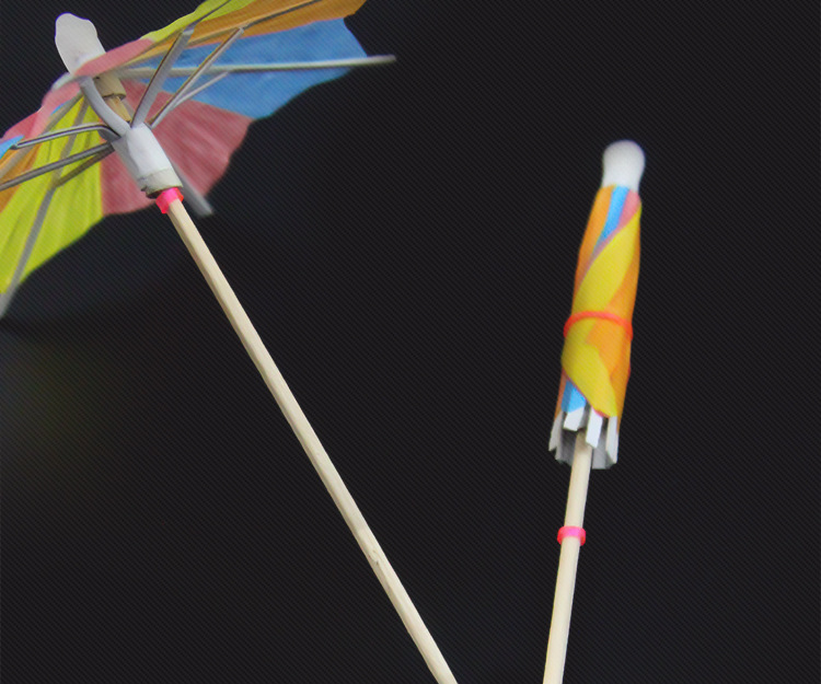 小伞签详情恶意_09