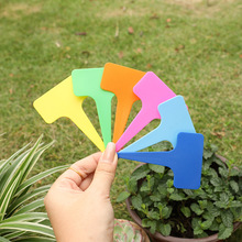 园艺标签t型多肉植物花卉地插牌塑料防雨苗木花盆标识牌厂家批发