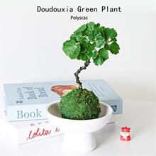 ����̦ͩ�\���X��������k��������Gֲins ���նY�����ֲ����B