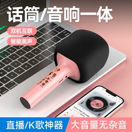 麦克风/话筒;蓝牙音箱;蓝牙耳机