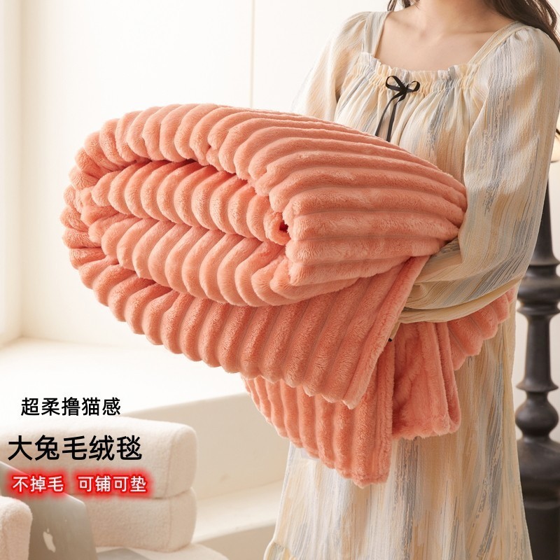 따뜻한 양 오렌지