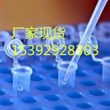 AMPPD ӫ��̽�� 122341-56-4 ø��ѧ�������