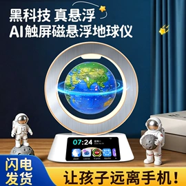 永生花;地球仪;教学演示用品