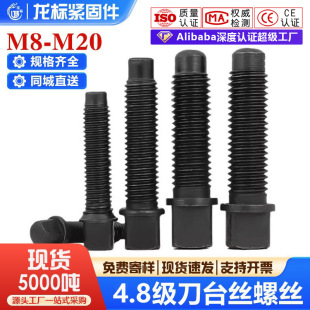 4.8����̨�z�ݽzGB85�ߏ��ȷ��^�o���ķ��^�A��͹β�S��M8M12M16