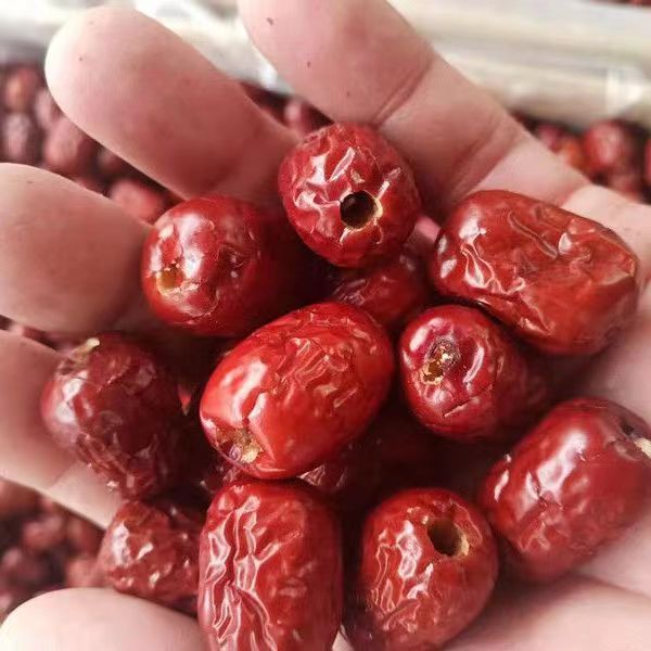 微信图片_20221016083759