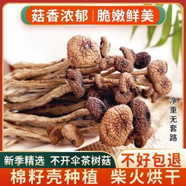 其他干货;香菇;茶树菇