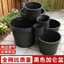 ��̖���ϼӁ����{ݮ�¼��Nֲ��������ĥ�����ظ���͸��ظ��N����