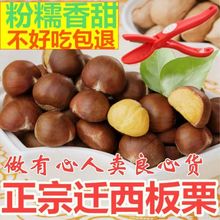 �w�����������r���Ӻӱ�Ұ�������Ӵ�����ɽСë���Y�������