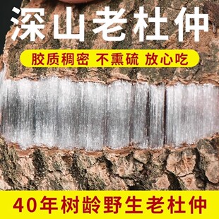 ����Ұ���������Ƥ���[���ٺ�Ƥ��Ƥ�ݾ������������B��