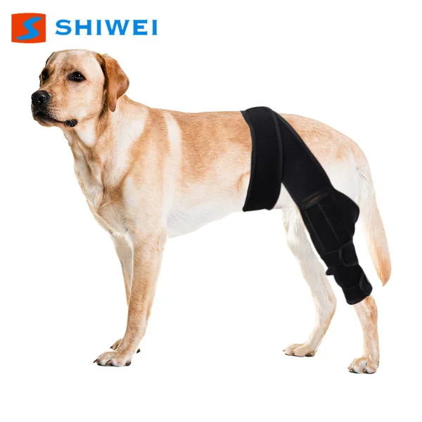 Pet Joint Protective Cover, Dog Knee Pads, Support Protective Gear, Stable Joints to Prevent Licking and Biting, Recovery Compression Straps