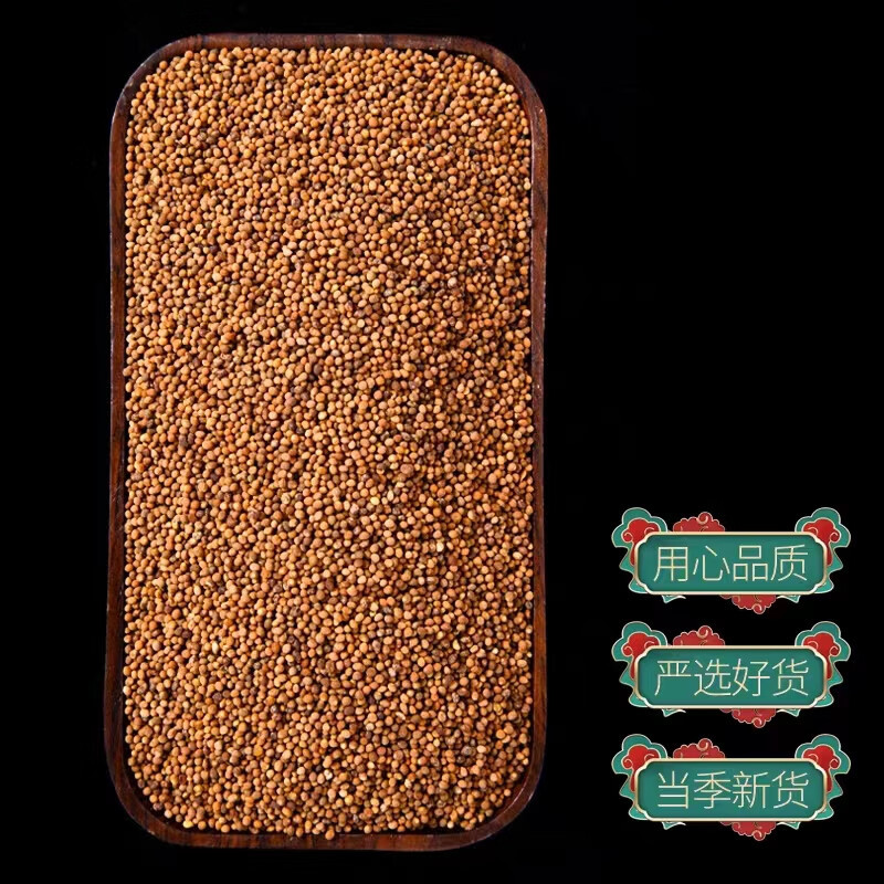 Dried Cuscuta Seed Tu Si Zi 500g Chinese Dodder Seed for Tea and Decoction overview
