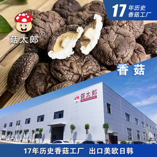 ���X��С�㹽��؛2.5-3cm���㹽������׵��ÓˮĢ���������؂䰸