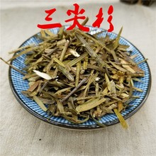 中药材三尖杉 1公斤精选白头杉榧子血榧石榧水柏子