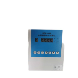 REN300A Online RAdiAtion Security AlArm Meter Environment RAdioActive SubstAnce Test x- Γ RAy Detection
