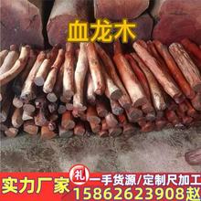印尼冰种血龙木 印尼加里曼丹岛进口帝王木原木木料 印尼血龙木