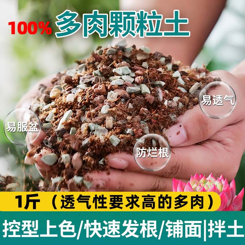 Succulent soil [100% particles] 0.5kg